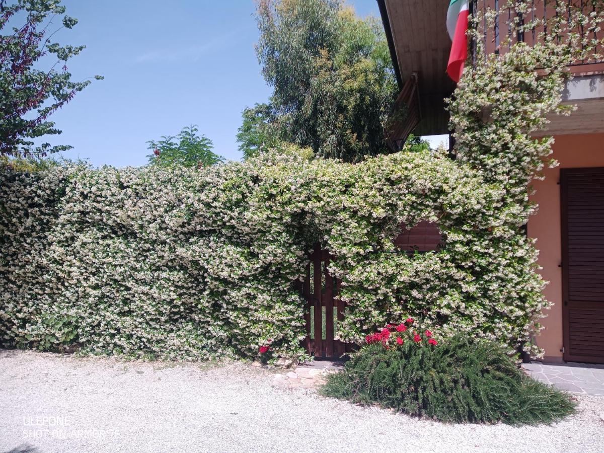 Campofilone B&B La Poeta المظهر الخارجي الصورة